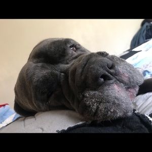 Meet your Posher, Christina